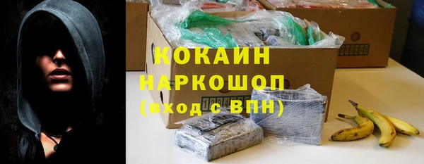 СК Алексин