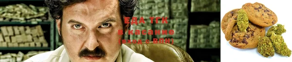 СК Алексин